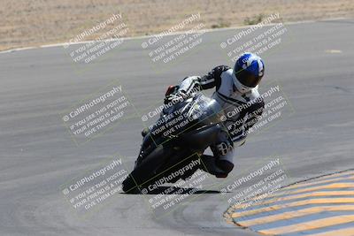 media/Apr-09-2023-SoCal Trackdays (Sun) [[333f347954]]/Turn 10 (115pm)/